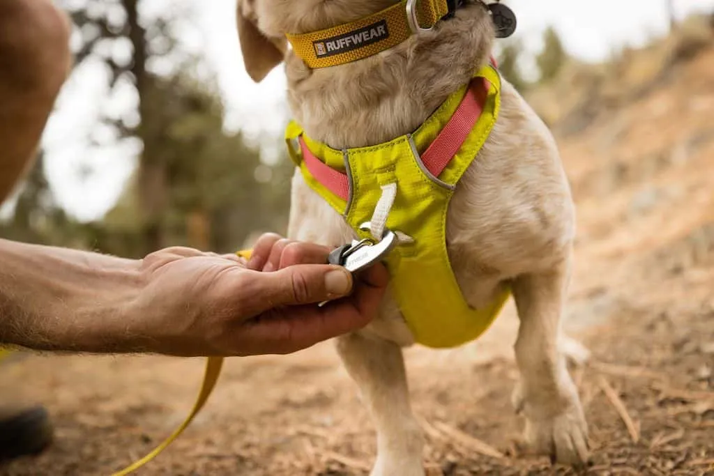 Hi & Light Dog Harness - Lightweight, Sporty